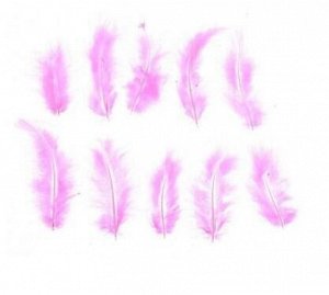 Набор перьев для декора 10 шт размер 1 шт 10 х 2 см цвет Розовыйзеленый