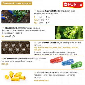 Bona Forte Жидкое минеральное удобрение для роз и хризантем 285 мл./20/ BF21010251