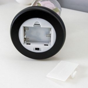 Фигурка светящаяся колба RISALUX «Розовая роза», LED-ночник, 3AAA 8x8x17 см