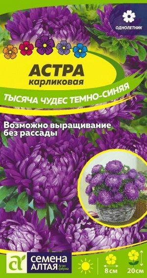 Астра Тысяча чудес темно-синяя карликовая/Сем Алт/цп 0,15 гр.
