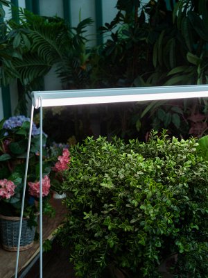 Светильник для растений светодиодный линейный, 550мм, выкл. на корпусе. Спектр для фотосинтеза. ULI-P10-18W/SPFR IP40 WHITE