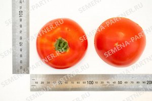 Томат Красный Факел F1 / Гибриды биф-томатов с массой плода свыше 250 г