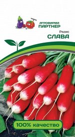 Редис Слава