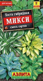 Хоста Микси, смесь окрасок