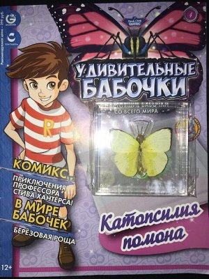 Коллекция журналов "Удивительные бабочки". Настоящие бабочки со всего мира.