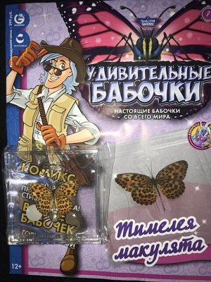 Коллекция журналов "Удивительные бабочки". Настоящие бабочки со всего мира.