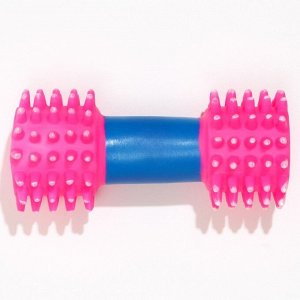Игрушка для собак пищащая "Массажная гантель", 14 см, розовая/синяя