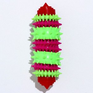 Игрушка жевательная 15,5 х 5,5 см, красная/зелёная/розовая