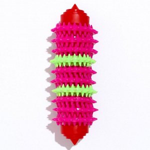Игрушка жевательная 15,5 х 5,5 см, красная/розовая/зелёная