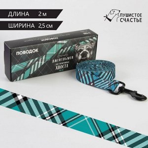 Поводок «Джентльмен», нейлон, застёжка - фастекс, 2.5 см, 2 м