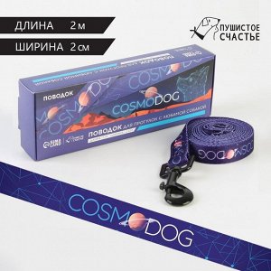 Поводок COSMO DOG, нейлон, 2 см, 2 м