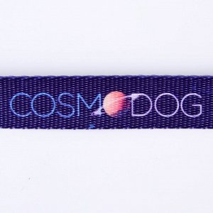 Поводок COSMO DOG, нейлон, застёжка - фастекс, 2 см 1,5 м