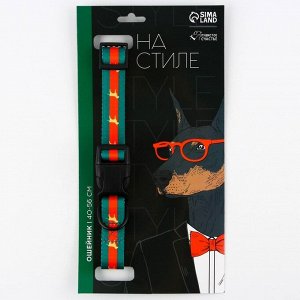 Ошейник «На стиле», нейлон, застёжка - фастекс, 2.5 см, 40-55 см