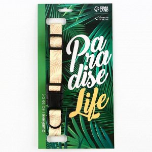 Ошейник Paradise life, нейлон, застёжка - фастекс, 2.5 см, 40-55 см