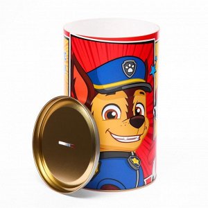 Копилка XXL "На исполнение моей мечты!" , Paw Patrol.