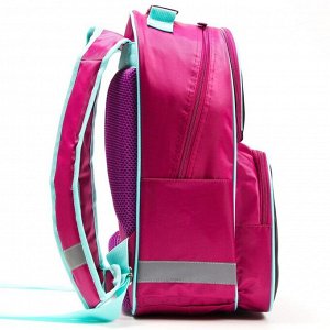 Рюкзак школьный с эргономической спинкой "STAR", Коты Аристократы, 37*26*13 см, розовый