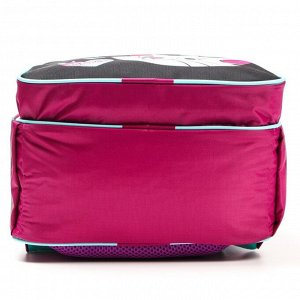 Рюкзак школьный с эргономической спинкой "STAR", Коты Аристократы, 37*26*13 см, розовый
