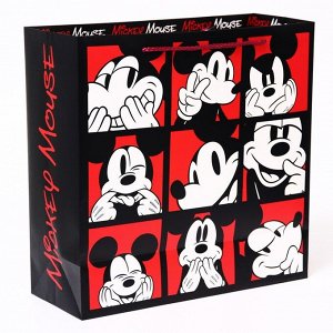 Пакет ламинат "Mickey Mouse", Микки Маус, 30 х 30 х 12