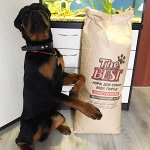 The Best — натуральные корма для собак