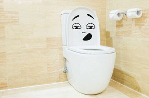 Наклейка на крышку унитаза