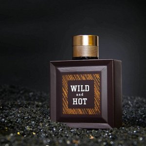 Туалетная вода мужская Wild And Hot, 100 мл