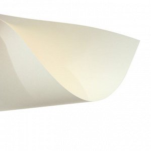 Папка для пастели А3, 297 х 420 мм, 20 листов, тонированная бумага, слоновая кость, ГОЗНАК «Скорлупа», блок 200 г/м?