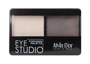 ALVIN D'OR AES-14 Тени для век двойные EYE STUDIO 5г (тон 01 - черный+белый)