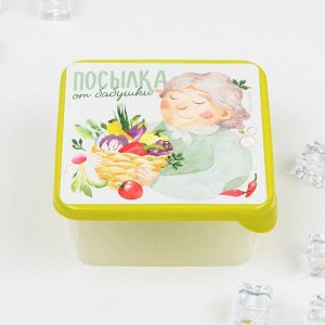 Набор контейнеров для заморозки 3 шт «Бабушкины рецепты»
