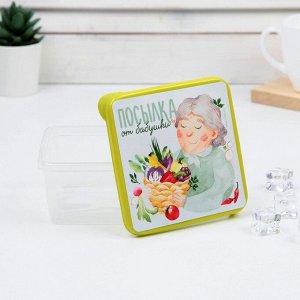 Набор контейнеров для заморозки 3 шт «Бабушкины рецепты»