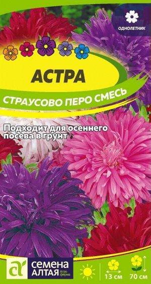 Астра Страусово Перо Смесь окрасок/Сем Алт/цп 0,3 гр.