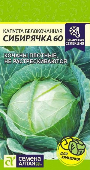 Капуста Сибирячка 60/Сем Алт/цп 0,5 гр. Сибирская Селекция!