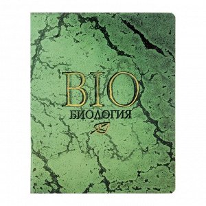 Тетрадь предметная "На камне", 48 листов в клетку "Биология", обложка мелованный картон, УФ-лак, блок офсет