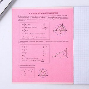 Предметная тетрадь, 48 листов, «РОЗОВАЯ СЕРИЯ», со справ. мат. «Геометрия», обложка мелованный картон 230 гр., внутренний блок в клетку 80 гр., белизна 96%