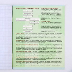 Предметная тетрадь, 48 листов, «ВЕЛИКИЕ ЛИЧНОСТИ», со справ. мат. «Биология», обложка мелованный картон 230 гр., внутренний блок в клетку 80 гр., белизна 96%
