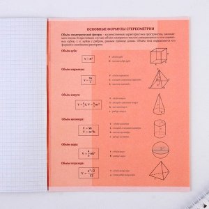 Предметная тетрадь, 48 листов, «ВЕЛИКИЕ ЛИЧНОСТИ», со справ. мат. «Геометрия», обложка мелованный картон 230 гр., внутренний блок в клетку 80 гр., белизна 96%