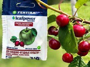 Фертика Leaf Power плодово-ягодные 15гр водорастворимое 1/100