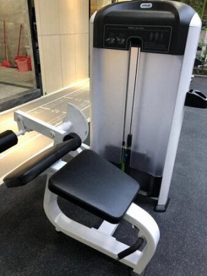 Сгибание ног лежа Insight Fitness TF15