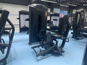 Сведение/разведение ног Insight Fitness TF27