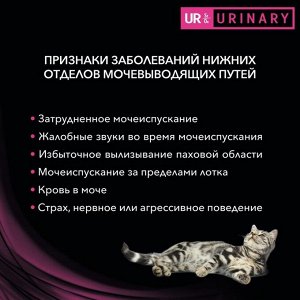 Сухой корм PURINA Stox UR диета для кошек, профилактика МКБ, курица 1.5 кг