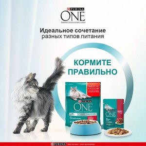 Сухой корм ONE для кошек, говядина с цельными злаками, 750 г