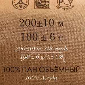 Пряжа "Удачный выбор" 100% акрил объёмный, 200м/100гр (191-Ежевика)