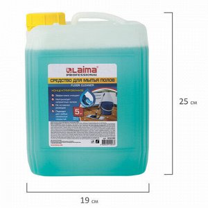 Средство для мытья пола 5 кг, LAIMA PROFESSIONAL концентрат, "Морской бриз", 602296