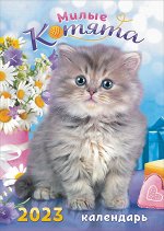 Перекидной настенный календарь на ригеле на 2023 год &quot;Котята&quot;