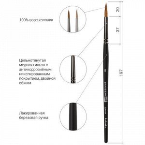 Кисть художественная проф. BRAUBERG ART CLASSIC, колонок, круглая, № 5, короткая ручка, 200934