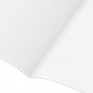 Тетрадь-скетчбук 60 л. обложка кожзам под замшу, сшивка, B5 (179х250мм), 70 г/м2, РОЗОВЫЙ, BRAUBERG CAPRISE, 403863