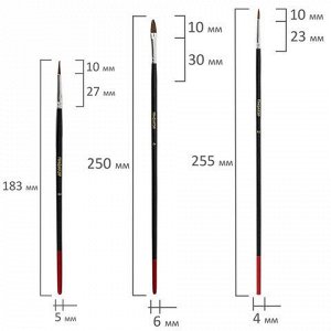 Кисти ПИФАГОР, набор 10 шт. (пони - 5 шт., синтетика - 3 шт., щетина - 2 шт., круглые, плоские), 200505