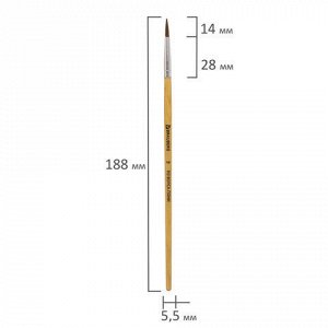 Кисть BRAUBERG, пони, круглая, № 3, 200189