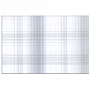 Книга учета 96 л., клетка, обложка из мелованного картона, блок офсет, А4 200х290 мм, ОФИСМАГ, 130186