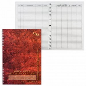 Книга учета доходов и расходов для организаций и ИП 50л на гребне 13с21-50 130171