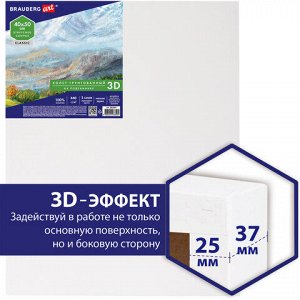 Холст 3D на подрамнике BRAUBERG ART CLASSIC 40х50см, 440г/м, грунт, 100% хлопок мелкое зерно, 191664